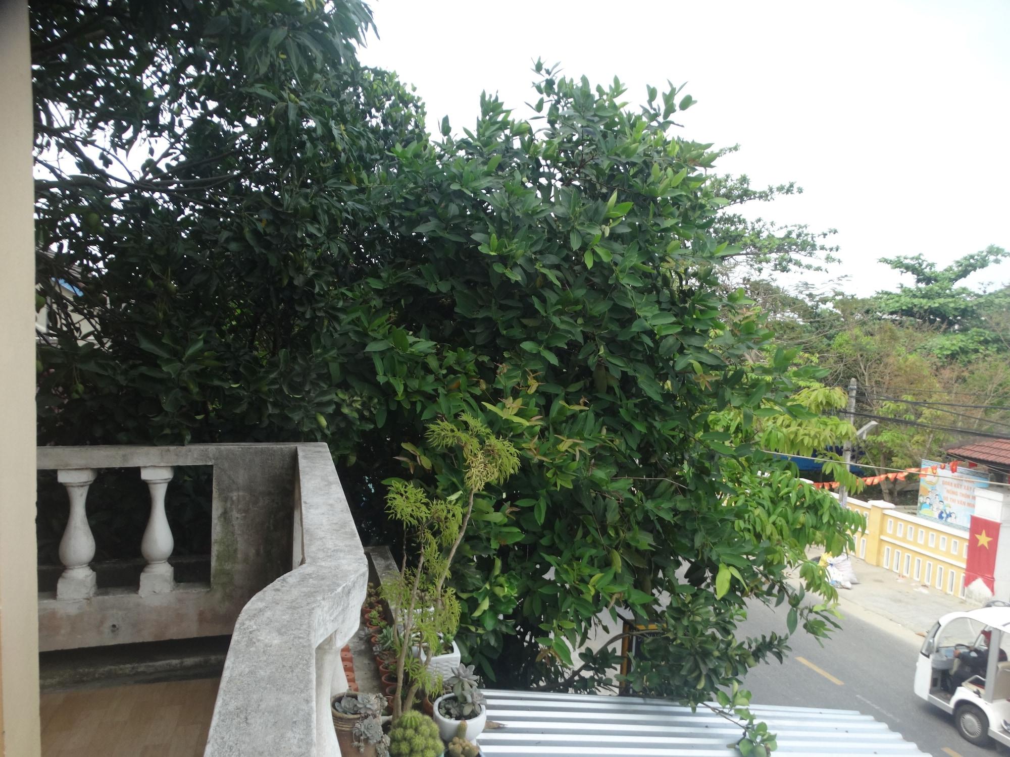 Yellow House Homestay Hoi An Eksteriør billede